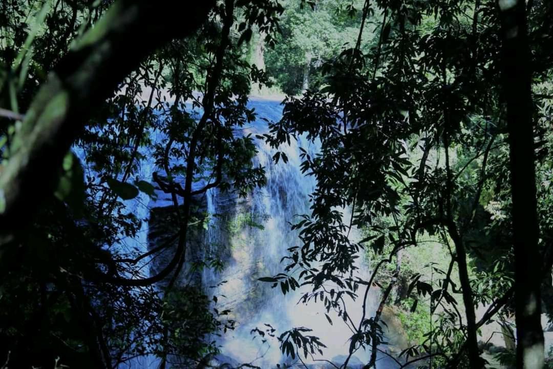 Chalet In The Jungle Pallegama Esterno foto